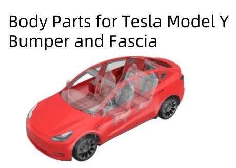 A lista de peças do corpo e catálogo para Tesla Modelo Y